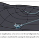 Illustration for article titled Doctor Whos mode of spacetime travel described in new physics paper